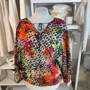Vintage Sydney Gregory size Large vibrant water color semi sheer blouses #2452